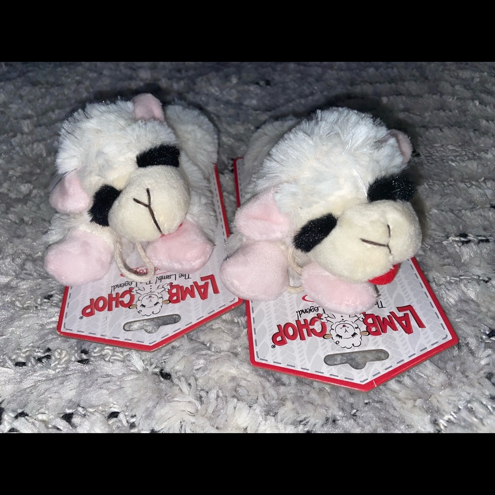 Lamp chop set of 2 dog toys